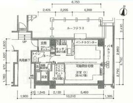 シティコート目黒 4-1010 間取り図