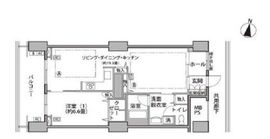 東雲キャナルコートCODAN 16-303 間取り図