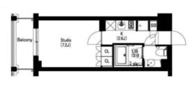 エスティメゾン武蔵小山2 303 間取り図