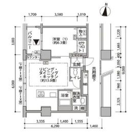 東雲キャナルコートCODAN 19-1202 間取り図