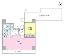 ラフィーネテラス 1101 間取り図