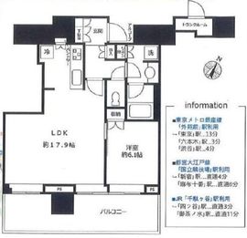 ザ・コート神宮外苑 11階 間取り図