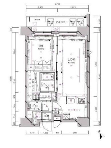 ステージファースト飯田橋アジールコート 11階 間取り図