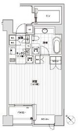 カスタリア銀座 1101 間取り図