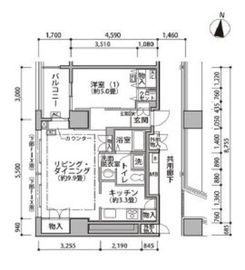 東雲キャナルコートCODAN 19-303 間取り図