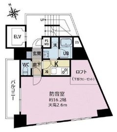 ラシクラスEX東京ベイ 301 間取り図