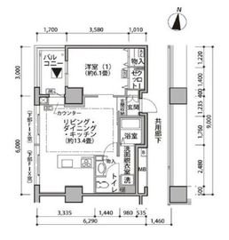 東雲キャナルコートCODAN 19-401 間取り図