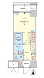 RJRプレシア菊川駅前 905 間取り図