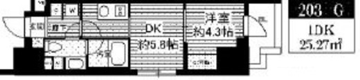 ミリアレジデンス根岸柳通 203 間取り図