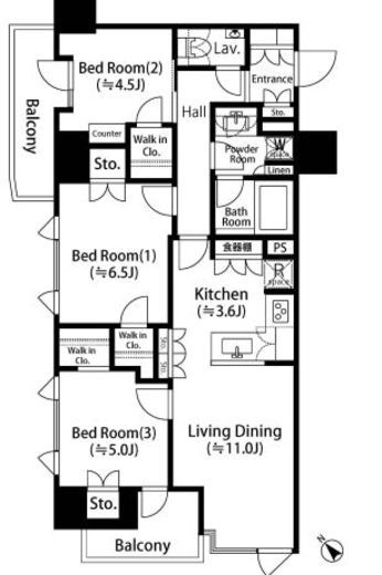 コノート茗荷谷 502 間取り図