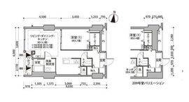 東雲キャナルコートCODAN 12-209 間取り図