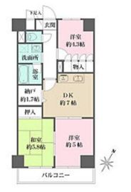 ウィスターリア本駒込 402 間取り図