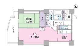 文京グリーンコートビュータワー本駒込 B511 間取り図