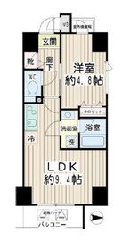 コルティーレ武蔵小杉 501 間取り図