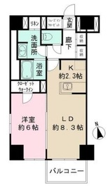 カメリアコート新宿 1001 間取り図