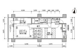 東雲キャナルコートCODAN 18-802 間取り図