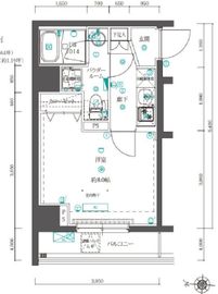 QUALITAS押上 (クオリタス押上) 301 間取り図