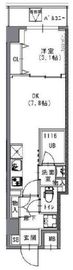 S-RESIDENCE菊川rivie (エスレジデンス菊川リヴィエ) 502 間取り図