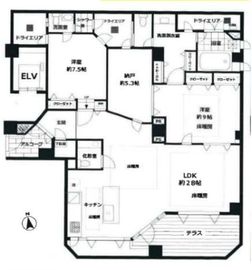 ヴィラアイシス南青山 101 間取り図