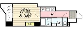 CLASSEUM飯田橋 (クラシアム飯田橋) 101 間取り図