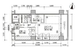 東雲キャナルコートCODAN 18-1016 間取り図