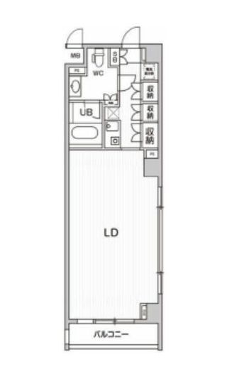六本木デュープレックスエムズ 509 間取り図