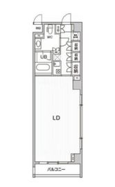 六本木デュープレックスエムズ 509 間取り図