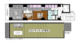 LILIO小石川 9F1 間取り図