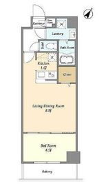 アルファコート常盤台3 804 間取り図