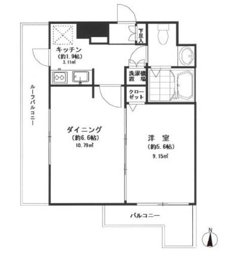 セレーネ自由が丘 501 間取り図