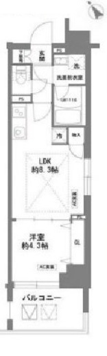 ラグゼナ日本橋 1002 間取り図