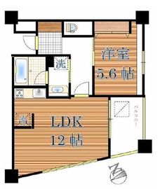 ダイナシティ雷門 6階 間取り図