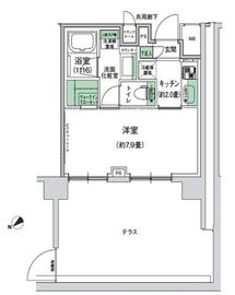 スタイリオ梶が谷 101 間取り図