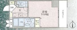Plumeria 803 間取り図