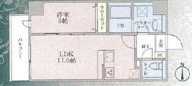 Plumeria 805 間取り図