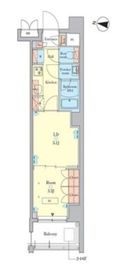 RJRプレシア千鳥 508 間取り図