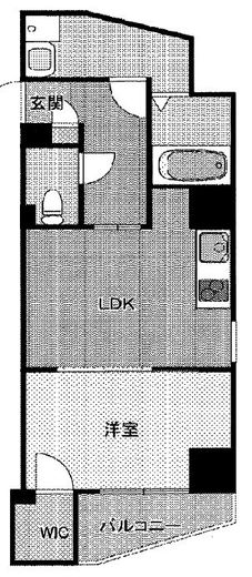 Finesse大井町 (フィネス大井町) 501 間取り図
