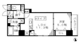 ラフィーネ日本橋 301 間取り図