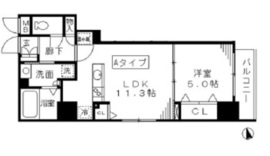 ラフィーネ日本橋 501 間取り図