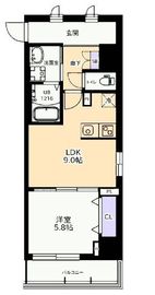 Bacchus・K (バッカス・ケー) 503 間取り図