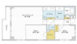 AZ小石川 501 間取り図