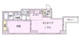 GRANNY HOUSE 501 間取り図