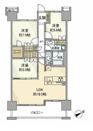 ライオンズ茅ヶ崎ザ・アイランズ 12階 間取り図