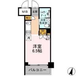 カスタリア武蔵小杉 505 間取り図