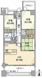 クレヴィア両国 11階 間取り図