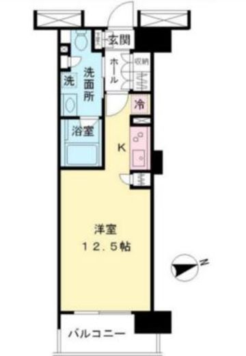 メゾンカルム代々木公園 206 間取り図