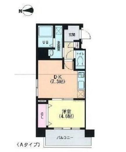 フィーカ牛込柳町 501 間取り図