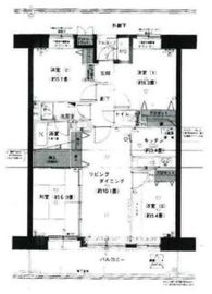 プランベール横須賀汐入 12階 間取り図