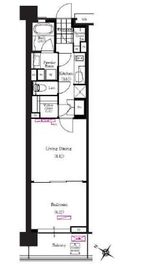 ブリリアイスト三軒茶屋ブラッサムテラス 309 間取り図