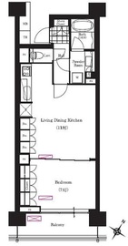ブリリアイスト三軒茶屋ブラッサムテラス 904 間取り図